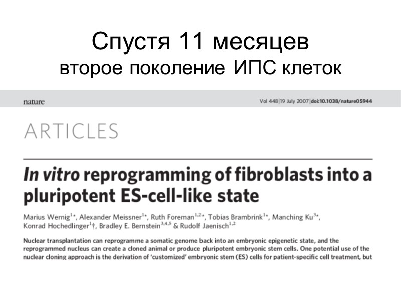 Спустя 11 месяцев второе поколение ИПС клеток
